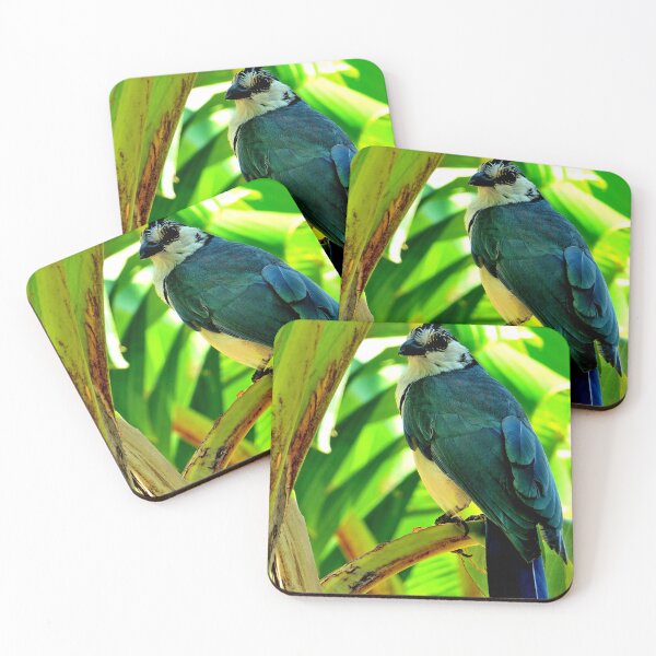 Item preview, Nicaragua - Bird of the Ilsa from Ometepe designed and sold by franck380.