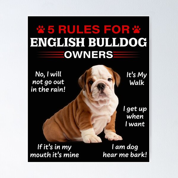 English bulldog sale gifts for owners