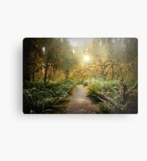 Hall of Mosses. Metal Print