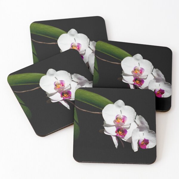 Item preview, Orchid - high quality original photography designed and sold by PatBlancheArt.