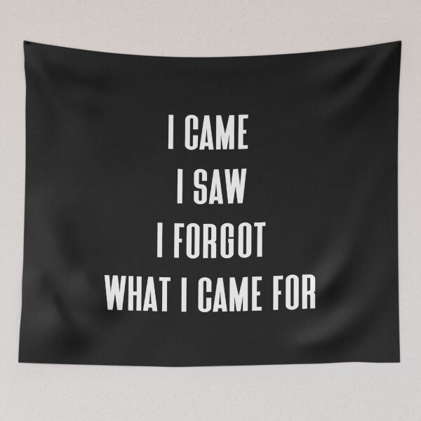 Item preview, I came i saw i forgot what i came for designed and sold by Sarvgya Verma.