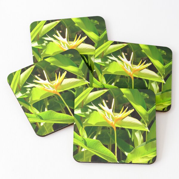 Item preview, Bird of Paradise designed and sold by Birgit Moldenhauer.