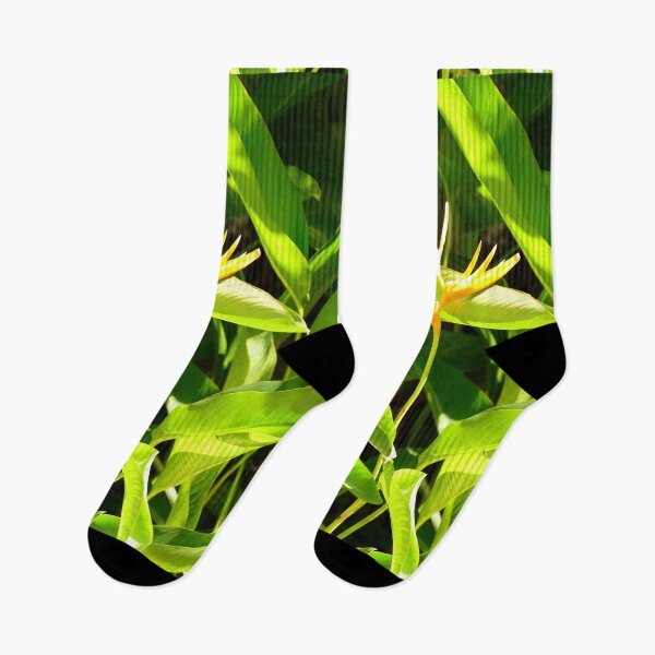 Item preview, Bird of Paradise designed and sold by Birgit Moldenhauer.