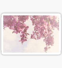 Spring Blossom Glory Sticker