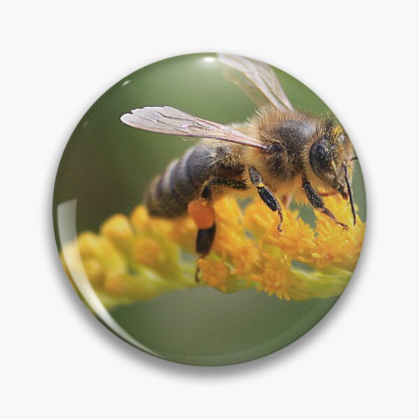 Item preview, the forager designed and sold by Cocoetlaphoto.