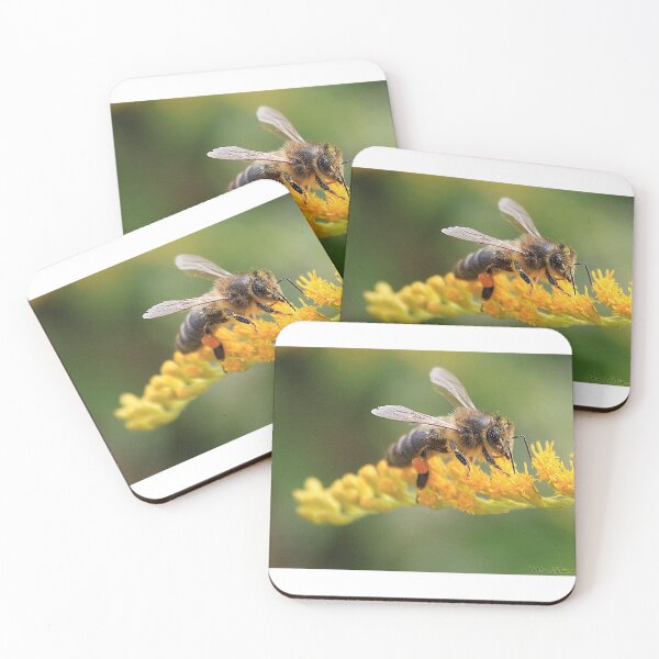 Item preview, the forager designed and sold by Cocoetlaphoto.