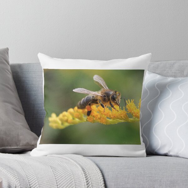 Item preview, the forager designed and sold by Cocoetlaphoto.