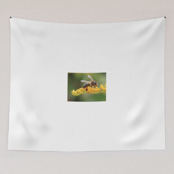 Item preview, the forager designed and sold by Cocoetlaphoto.