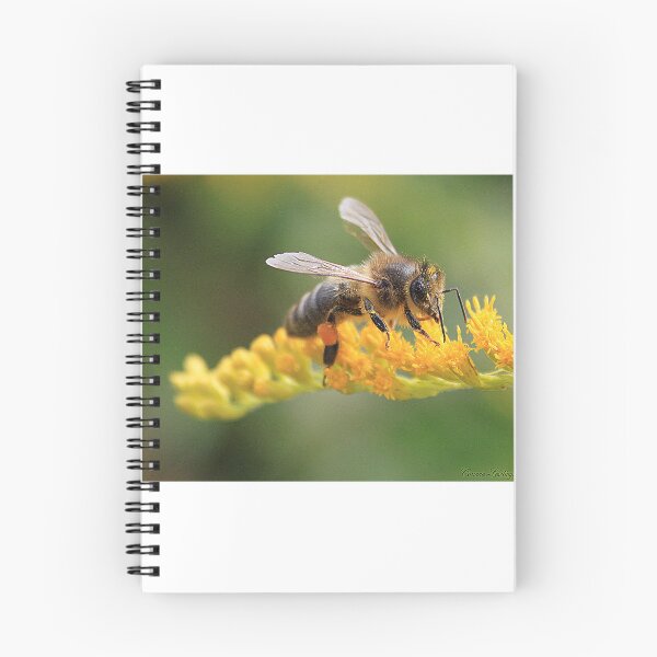 Item preview, the forager designed and sold by Cocoetlaphoto.