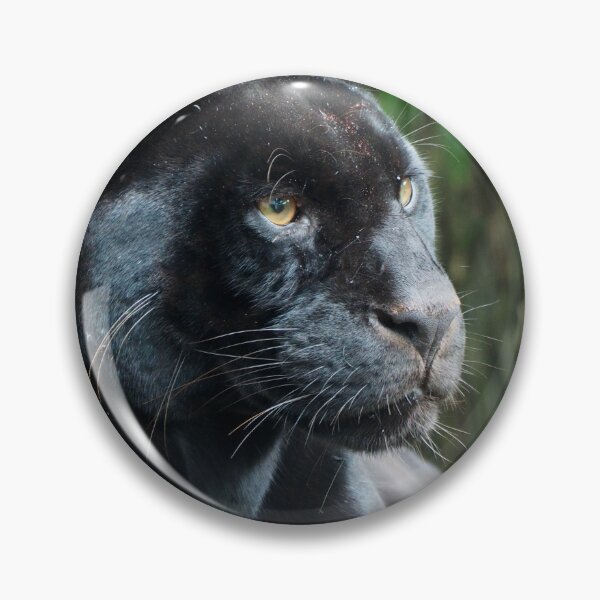 Item preview, Goshi the Jaguar designed and sold by Anna Fairley Nielsson.