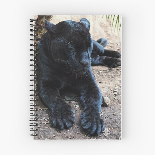 Item preview, Goshi the Jaguar designed and sold by Anna Fairley Nielsson.