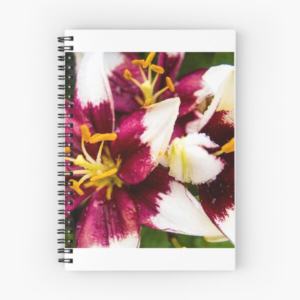 Item preview, Flowers after rain designed and sold by thickman14.