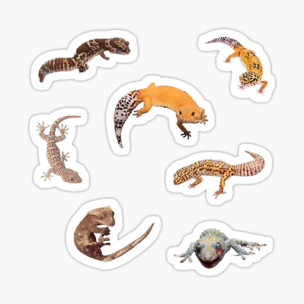 Item preview, Geckos stickers designed and sold by starseedgems.