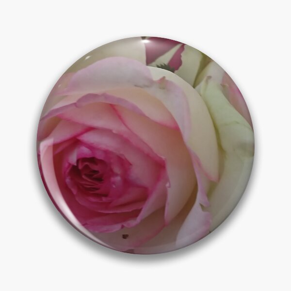 Item preview, The color of roses designed and sold by 250infinity.