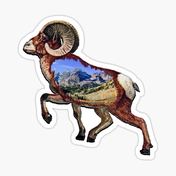 large dall sheep sticker Stickers, Labels & Tags Paper Paper & Party ...