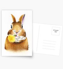 Hase Postkarten