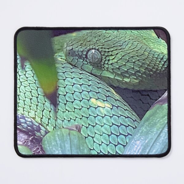 Item preview, BUSH VIPER 1 designed and sold by BOLLA67.
