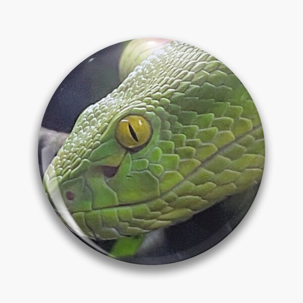 Item preview, WHITE LIPPED VIPER 1 designed and sold by BOLLA67.