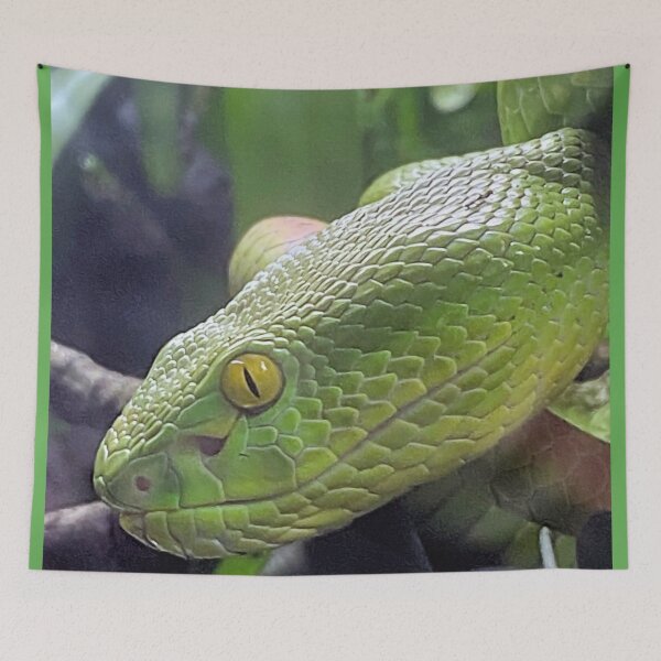Item preview, WHITE LIPPED VIPER 1 designed and sold by BOLLA67.
