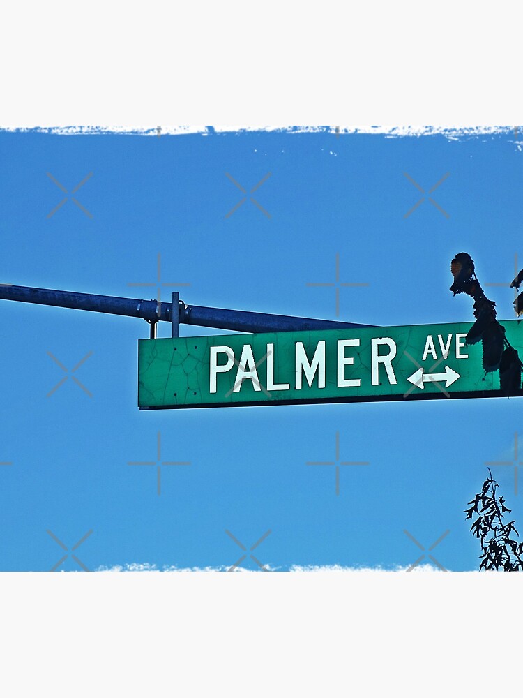 Palmer by PicsByMi