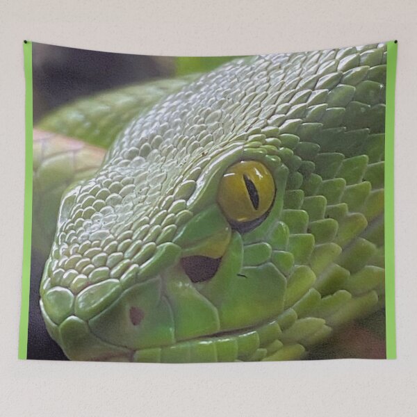 Item preview, WHITE LIPPED VIPER 3 designed and sold by BOLLA67.