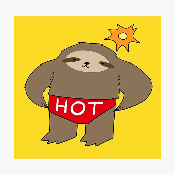 Hot Pants Sloth Photographic Print By Saradaboru Redbubble 