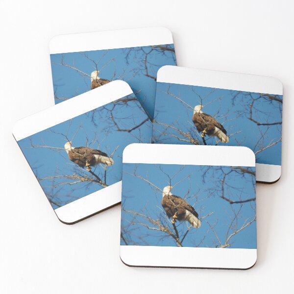 Item preview, NW AL Bald Eagle designed and sold by scottyp143.