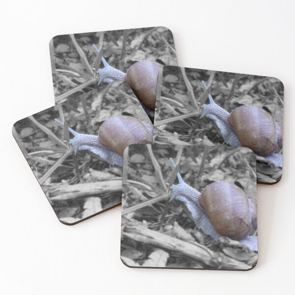 Item preview, Snail designed and sold by Wolf22floW.