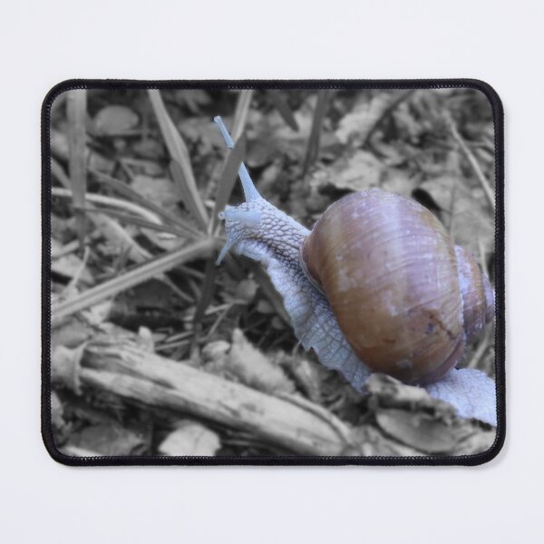 Item preview, Snail designed and sold by Wolf22floW.