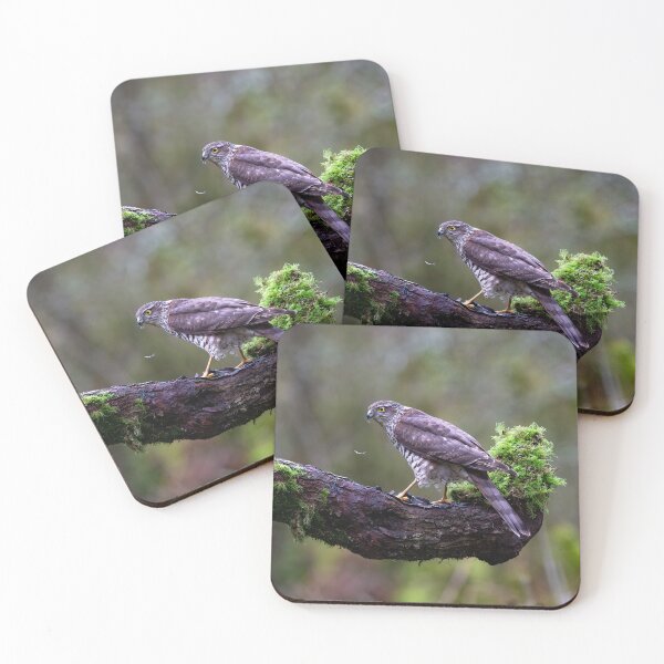 Item preview, After dinner Sparrowhawk designed and sold by RedGrouse.