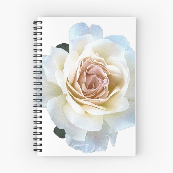Item preview, White rose Flower Aesthetic designed and sold by occultart.