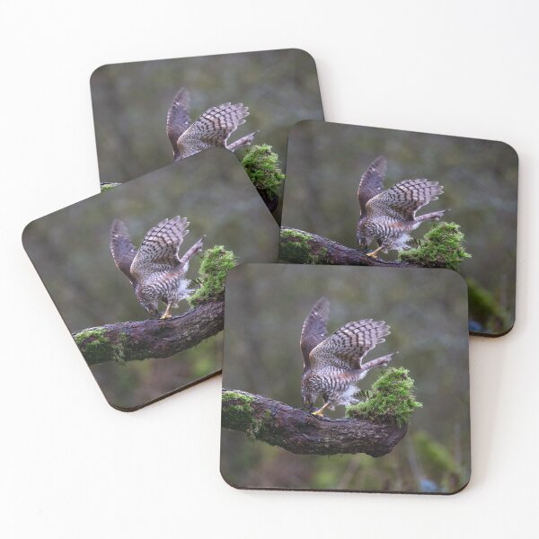 Item preview, Fierce female Sparrowhawk tears into her prey designed and sold by RedGrouse.