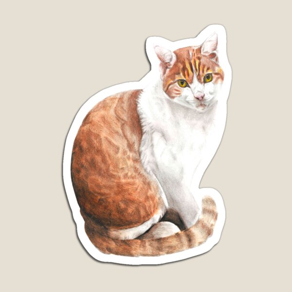 Cat no.1 Magnet