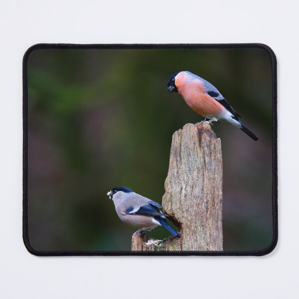 Item preview, A pair of bullfinches on a post. designed and sold by RedGrouse.