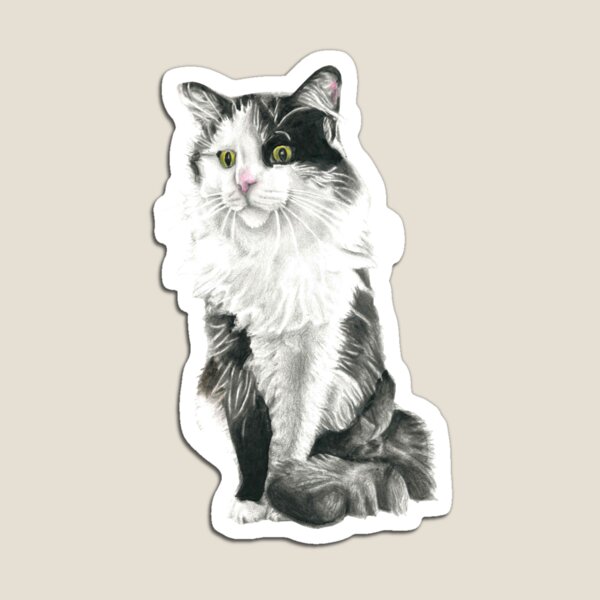 Cat no.2 Magnet
