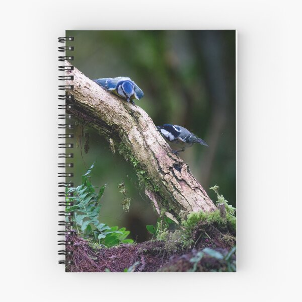Item preview, A bluetit, a coal tit and a bullfinch went onto a branch designed and sold by RedGrouse.