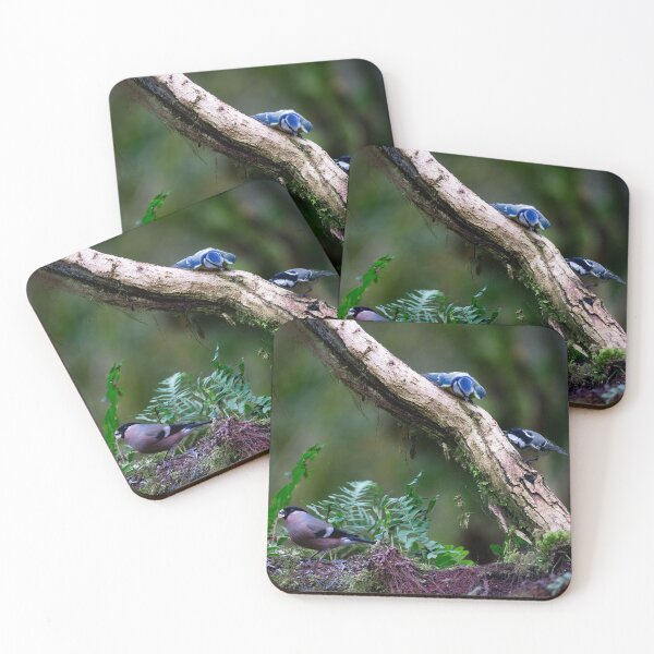 Item preview, A bluetit, a coal tit and a bullfinch went onto a branch designed and sold by RedGrouse.