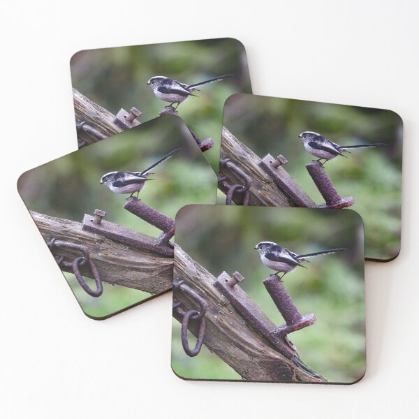 Item preview, Long tailed tit on a gate post. designed and sold by RedGrouse.