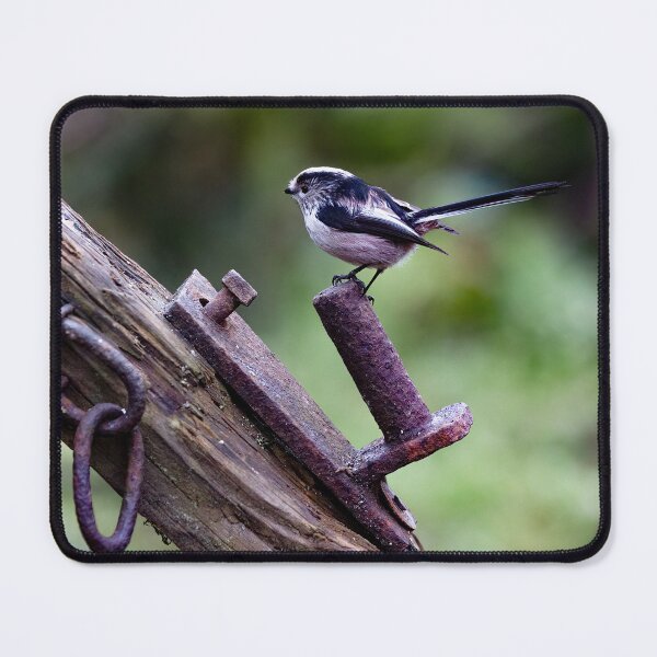 Item preview, Long tailed tit on a gate post. designed and sold by RedGrouse.