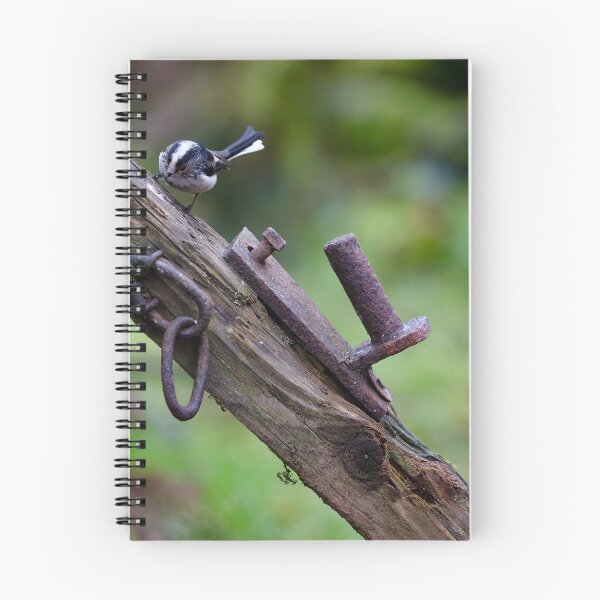 Item preview, Long Tailed Tit perches on a gate post designed and sold by RedGrouse.