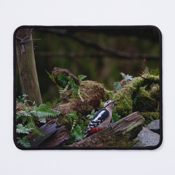 Item preview, Greater Spotted Woodpecker designed and sold by RedGrouse.