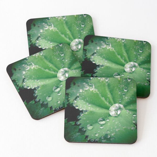 Item preview, Geranium Leaf with Water designed and sold by dguzmanmeyer.