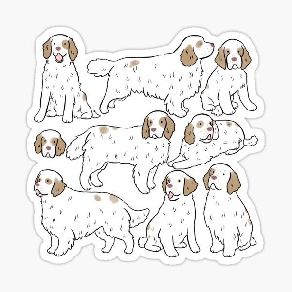 Artikel-Vorschau von Niedliches Illustrationsmuster des Clumber Spaniel-Hundes in Zitronen- und Weißtönen, designt und verkauft von Yarafantasyart.