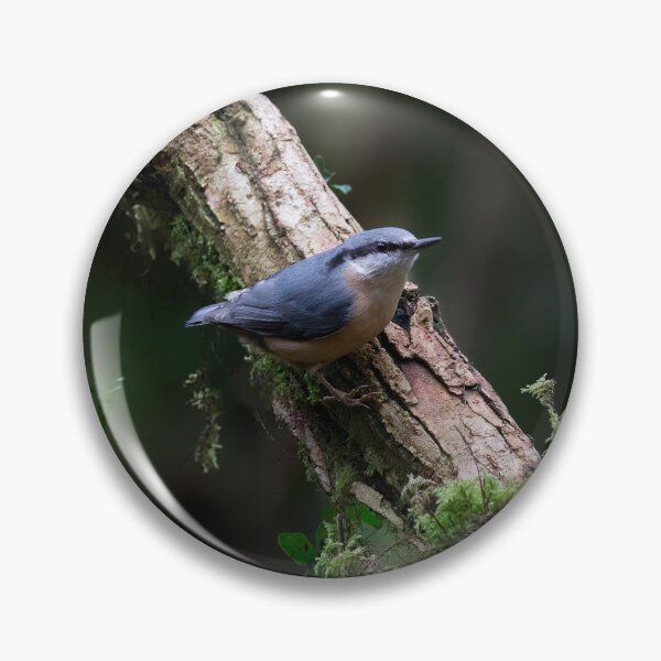Item preview, Nuthatch in the woods designed and sold by RedGrouse.