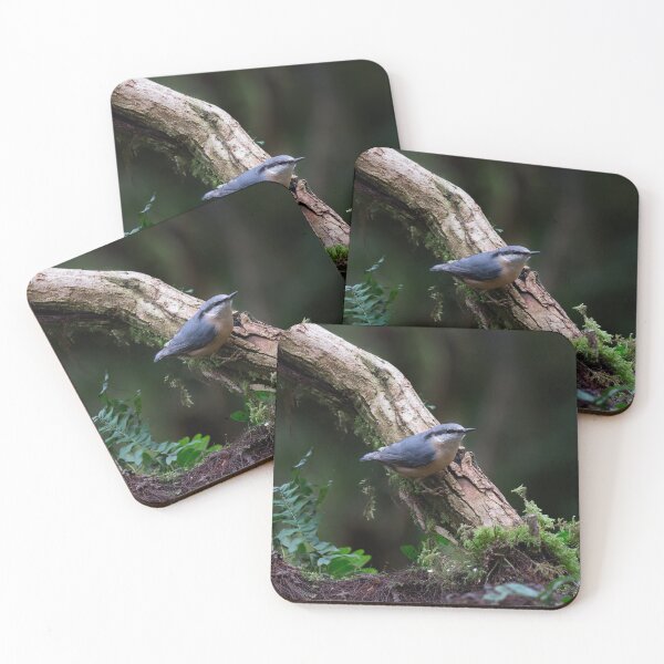 Item preview, Nuthatch in the woods designed and sold by RedGrouse.