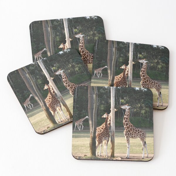 Item preview, NDVH Australia Zoo 5 designed and sold by Nik’s T-Shirts.