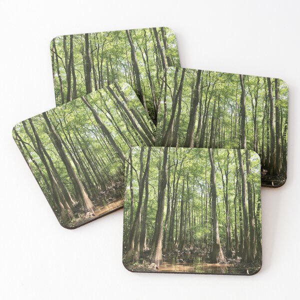 Item preview, Congaree National Forest | Swamp Trees Nature Photography designed and sold by Jacqueline Elise.