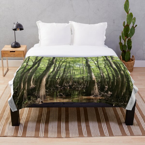 Item preview, Congaree National Forest | Swamp Trees Nature Photography designed and sold by Jacqueline Elise.