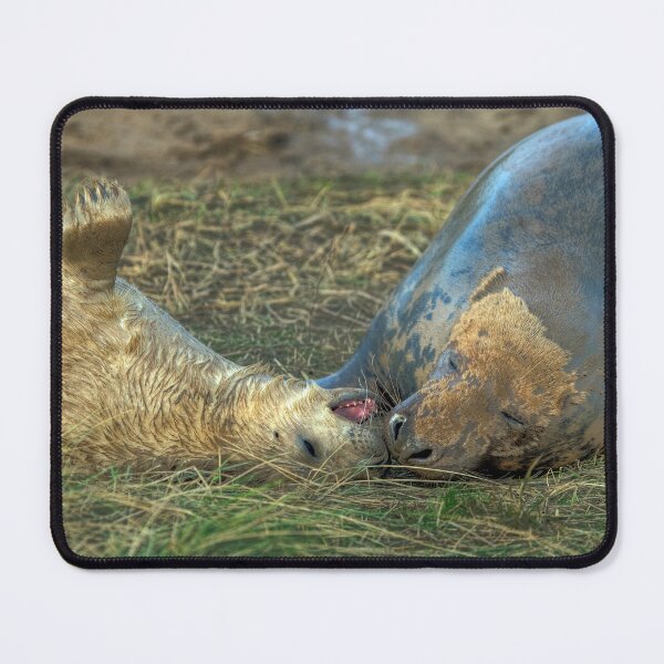 Item preview, Little Nipper designed and sold by Paul Thompson Photography.