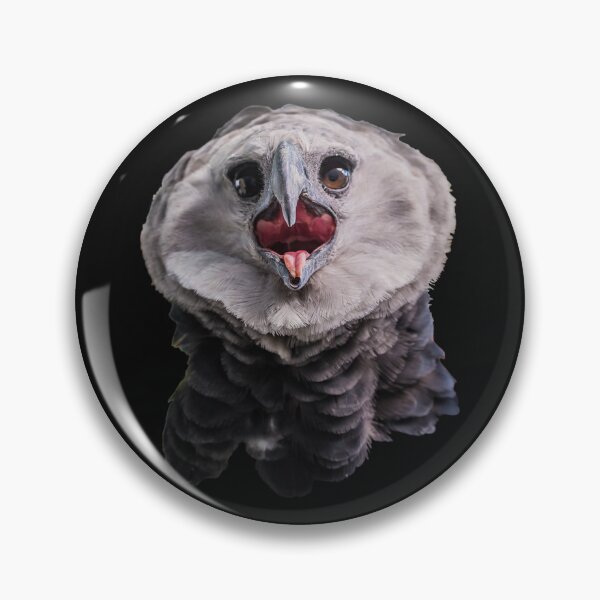 Item preview, Harpy eagle designed and sold by The Sleepy Monito.